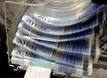 hassania